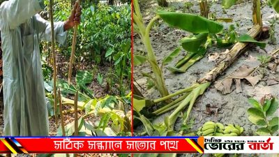 আলগী ইউনিয়নের ছোট খারদিয়া গ্রামে।