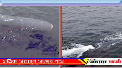 হামলাকারী ড্রোনের পরীক্ষা করল