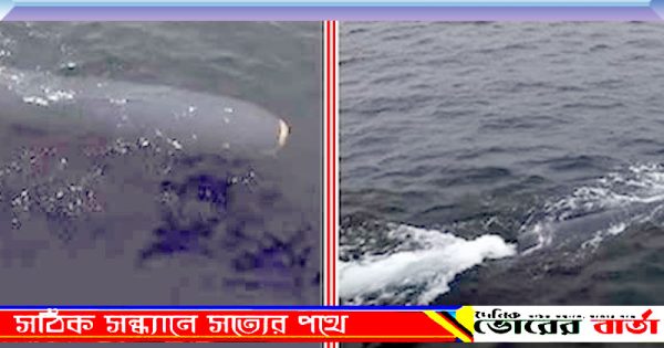 হামলাকারী ড্রোনের পরীক্ষা করল
