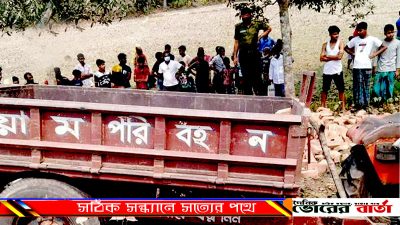 গট্টি ইউনিয়নের সিংহপ্রতাপ