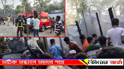 আগুন লাগার পরে অন্যান্য চার পাঁচটি ঘরের