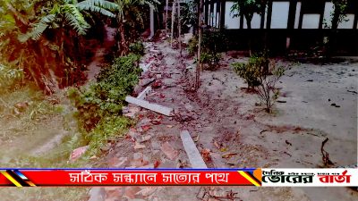 তমিজউদদীন শেখের বড়
