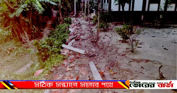 তমিজউদদীন শেখের বড়