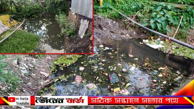 জংশন বাজার একটি বড় বাজার।