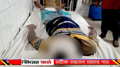 স্বতন্ত্র প্রার্থী আনারস