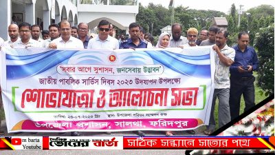 সালথায় জাতীয় পাবলিক সার্ভিস