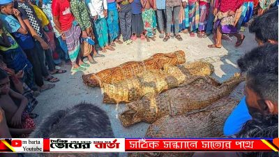 মাদ্রাজ ইউনিয়ন এর আওতাধীন