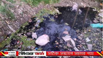 জংশন বাজারের কোল ছুঁয়ে বয়ে চলা