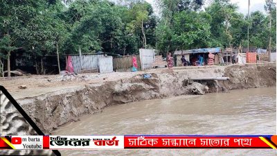পড়েছে নদী পাড়ের শতশত