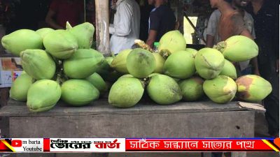 ব্যবসায়ীরা ডাবের দাম বাড়িয়ে