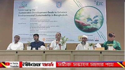 ডেভেলপমেন্ট গোলস