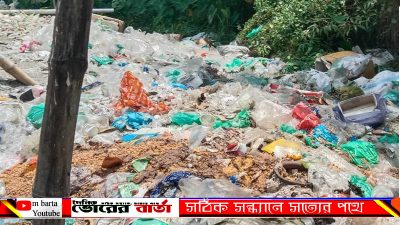 নোংরা দুর্গন্ধে আশপাশের লোকজন