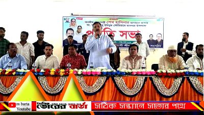 উপজেলা পরিষদের চেয়ারম্যান