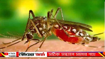 ইমরান উপজেলার গট্টি ইউনিয়নের