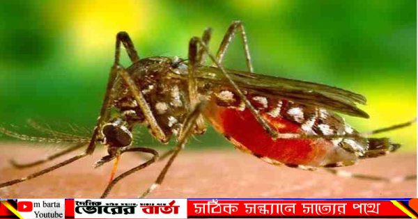 ইমরান উপজেলার গট্টি ইউনিয়নের