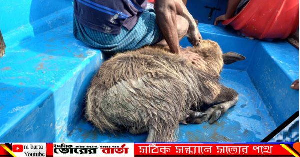 ইকবাল নামে এক মহিষ মালিক দুইজনের নাম