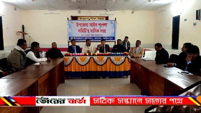 মোঃ আনিছুর রহমান বালীর সভাপতিত্বে