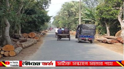 সেই নির্দেশ কেউ পালন করেনি