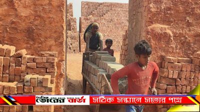 ‘আমি আমার ভাইয়ের সাথে এসেছি।