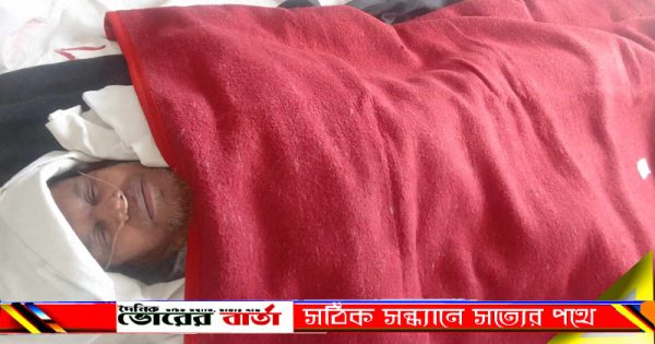পৌরসভার নওপাড়া বীরমুক্তিযোদ্ধা
