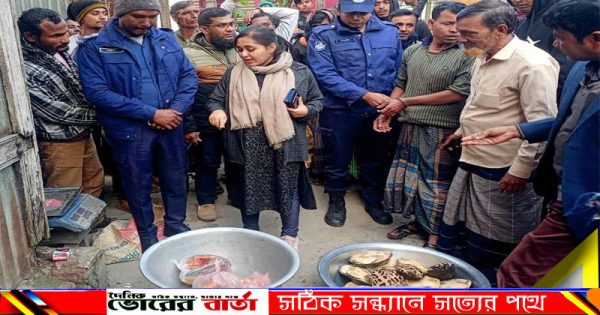 কচ্ছপ সংরক্ষণ ও বিক্রির