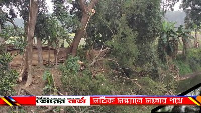 পুরাতন,খালটি পানি উন্নয়ন বোর্ড কয়েক
