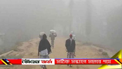 সব শ্রেনী পেশার মানুষের মাঝে শুধু শীতে মৌসুমে