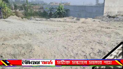 প্রাইমারি স্কুল সংলগ্ন দোহার মুখি হাতের