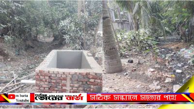 অন্তবর্তী পশ্চিমে খোকন মোড়লের