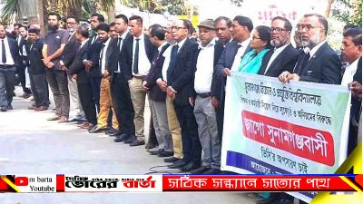বিশ্ববিদ্যালয়ের ভিসির অপসারণের