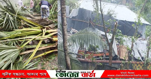 বুড়াইচ ইউনিয়নের এসব গ্রামে ঘূর্ণিঝড়ের