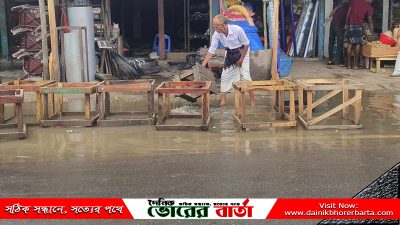 উত্তর ভোলার ইলিশা জংশন