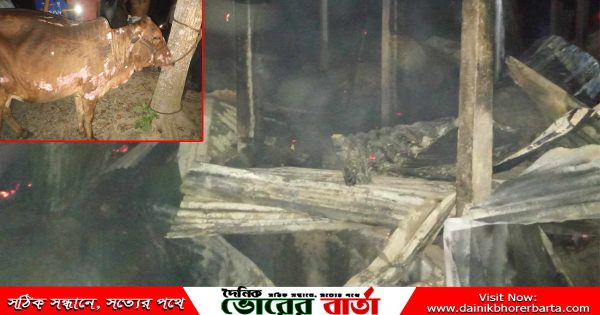 আগুনে পুড়ে স্বপ্ন ছাই ফরিদপুরের রিকশাচালকের