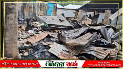 খবর পাওয়ার পর সালথা ফায়ার সার্ভিসের