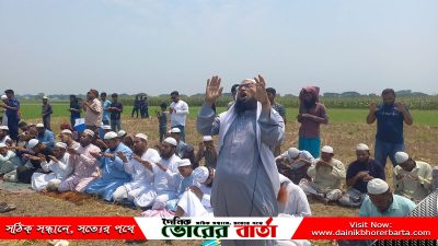 তপ্ত রোদে পুড়ছে ফসলের মাঠ।