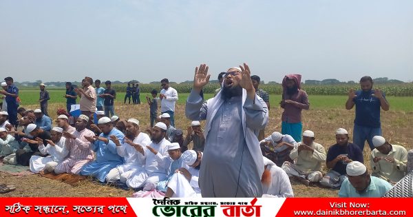 তপ্ত রোদে পুড়ছে ফসলের মাঠ।