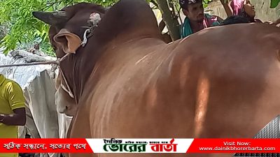 পালনের পর ঘরের বাইরে নেওয়া না হলেও আজ