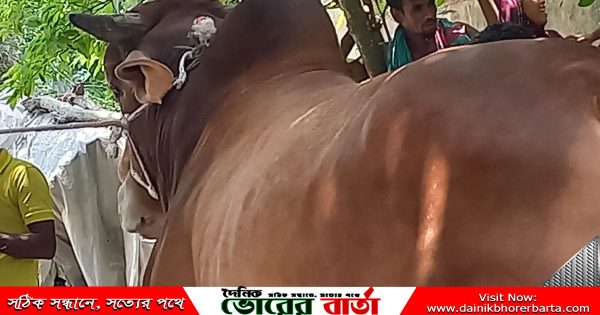 পালনের পর ঘরের বাইরে নেওয়া না হলেও আজ