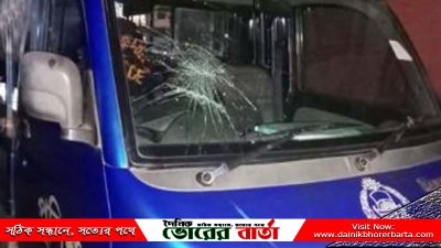 ভাবুকদিয়া দক্ষিণ পাড়া গ্রামে