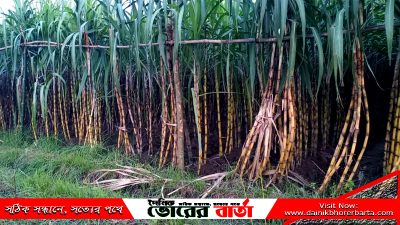 গট্টি, সোনাপুর, যদুনন্দী, বল্লভদি ও আটঘর