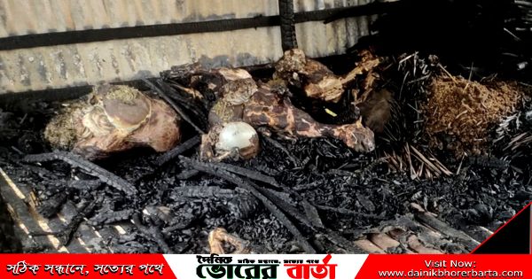 সোনাপুর ইউনিয়নের চাঁন্দাখোলা