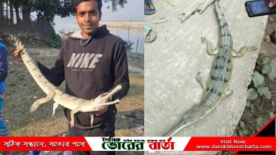 রাতে পবনবেগ গ্রামের সুধাংশু সহ আরো কয়েকজন