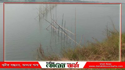 প্রভাবশালীদের ছত্র ছায়ায় মধুমতি নদীতে