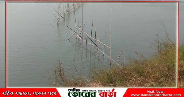 প্রভাবশালীদের ছত্র ছায়ায় মধুমতি নদীতে
