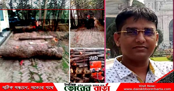 রুপাপাত ইউনিয়ন চেয়ারম্যান