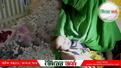 গট্টি ইউনিয়নের ছোট বালিয়া এলাকার