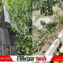 উপজেলায় পৌরসভা ও সদর ইউনিয়নে চার পাঁচ মিনিটের