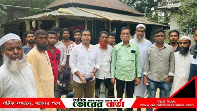 লুটপাটের ঘটনা দেখতে পরিদর্শন করেছেন