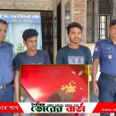 সালথায় ইয়াবাসহ দুই মাদক কারবারী আটক
