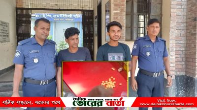 সালথায় ইয়াবাসহ দুই মাদক কারবারী আটক